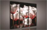 Consalnet Rózsaszín tulipánok, 3 darabos vászonkép, 90x80 cm méretben (C5-974S6)
