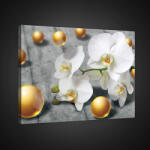 Consalnet Vászonkép, Orchidea gömbökkel, 60x40 cm méretben (C5-2421O4)