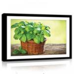 Consalnet Növény, vászonkép, 60x40 cm méretben (C5-11317O4)