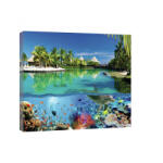 Consalnet Tengeri állatvilág, vászonkép, 60x40 cm méretben (C5-20056O4)