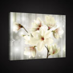 Consalnet Vászonkép, Magnólia, 60x40 cm méretben (C5-2511O4)