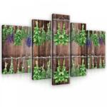 Consalnet Vászonkép, 5 darabos, Növények 170x100 cm méretben (C5-10060S4A)