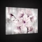 Consalnet Magnóliák, vászonkép, 60x40 cm méretben (C5-2513O4)