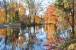 Dimex Vlies Fotótapéta - Autumn foliage - 375x250 cm (MS-5-1822)