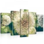 Consalnet Vászonkép 5 darabos, Pitypang színesben 100x60 cm méretben (C5-10221S17)