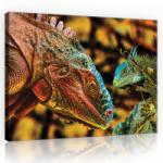 Consalnet Vászonkép, Kaméleonok, 80x60 cm méretben (C5-10568O6)