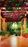 Dimex TERRACE fotótapéta, poszter, vlies alapanyag, 150x250 cm (MS-2-0045)