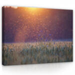 Consalnet Vászonkép, Réti virág napfényben, 60x40 cm méretben (C5-13917O4)