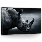 Consalnet Orrszarvú, vászonkép, 60x40 cm méretben (C5-12738O4)