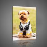 Consalnet Fejhallgatós kiskutya, vászonkép, 40x60 cm méretben (C5-10431O4)