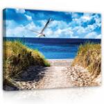 Consalnet Vászonkép, Út a tengerpartra, 100x75 cm méretben (C5-516O1)