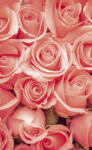 Dimex ROSES fotótapéta, poszter, vlies alapanyag, 150x250 cm (MS-2-0133)