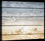 Consalnet Fa minta, vászonkép, 60x40 cm méretben (C5-20153O4)