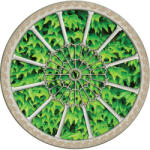 Consalnet Levelek vlies poszter, fotótapéta 915VEZ1 /208x208 cm/ (915-VEZ1)