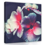 Consalnet Virág, vászonkép, 40x40 cm méretben (C5-12755O5)