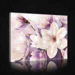 Consalnet Vászonkép, Magnólia, 80x60 cm méretben (C5-2633O6)