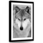 Consalnet Farkas fekete-fehérben, vászonkép, 40x60 cm méretben (C5-11326O4)