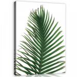 Consalnet Vászonkép, Levél 75x100 cm méretben (C5-11973O1)
