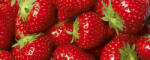 Dimex STRAWBERRY fotótapéta, poszter, vlies alapanyag, 375x150 cm (MP-2-0241)