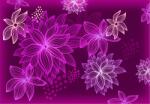 Consalnet Purple Flowers poszter, fotótapéta (152, 5 x 104 cm) (C1-255VEL)