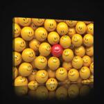 Consalnet Smileyk, vászonkép, 60x40 cm méretben (C5-2674O4)