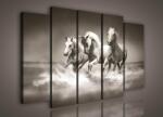 Consalnet Vászonkép, 5 darabos Pegazusok 150x100 cm méretben (C5-1085S12)