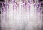 Consalnet Lila wisteria poszter, fotótapéta (104 x 70, 5 cm) (C1-14871VEM)