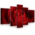 Consalnet Vászonkép, 5 darabos, Rózsa 170x100 cm méretben (C5-10151S4A)