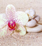 Dimex RELAXATION SAND fotótapéta, poszter, vlies alapanyag, 225x250 cm (MS-3-0119)