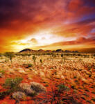 Dimex AUSTRALIAN LANDSCAPE fotótapéta, poszter, vlies alapanyag, 225x250 cm (MS-3-0050)