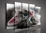 Consalnet Vászonkép, 5 darabos Kiscica 150x100 cm méretben (C5-957S12)