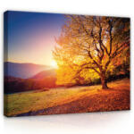 Consalnet Vászonkép, Őszi fa, 60x40 cm méretben (C5-12640O4)