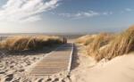 Consalnet Út a strandra poszter, fotótapéta (152, 5 x 104 cm) (C1-1020VEL)
