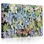 Consalnet Vászonkép, Kőrózsák, 100x75 cm méretben (C5-11757O1)