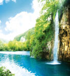 Dimex RELAX IN FOREST fotótapéta, poszter, vlies alapanyag, 225x250 cm (MS-3-0085)