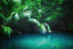 Dimex Vlies Fotótapéta - Mangrove rain forest - 375x250 cm (MS-5-1585)