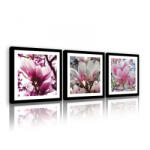 Consalnet Vászonkép 3 darabos, Magnólia, 3 db 25x25 cm méret (C5-11267S13)