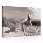 Consalnet Ló, vászonkép, 70x50 cm méretben (C5-10229O7)