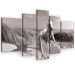 Consalnet Vászonkép, 5 darabos, Ló a parton 170x100 cm méretben (C5-10229S4A)