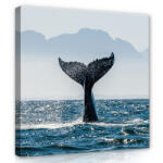 Consalnet Delfin ugrás közben, vászonkép 40x40 cm méretben (C5-12720O5)