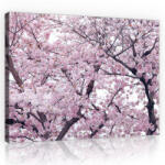 Consalnet Vászonkép, Cseresznyefavirágzás 80x60 cm méretben (C5-10894O6)