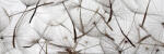 Dimex DANDELION SEEDS öntapadós konyhai poszter, 180x60 cm (KI-180-050)