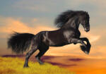 Sverus Fotótapéta Black Friesian Horse in Sunset, 416 x 290 cm (SV-12763862WM-416X290CM)