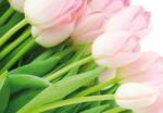 Consalnet Tulipánok poszter, fotótapéta (104 x 70, 5 cm) (C1-8-018VEM)
