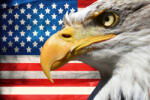 Dimex Vlies Fotótapéta - Eagle and US Flag - 375x250 cm (MS-5-1506)