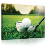 Consalnet Vászonkép, Golf, 80x60 cm méretben (C5-20119O6)