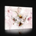 Consalnet Vászonkép, Liliom design 80x60 cm méretben (C5-2558O6)