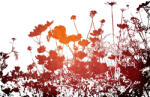 Dimex Vlies Fotótapéta - Floral texture - 375x250 cm (MS-5-1326)