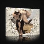 Consalnet Elefánt, vászonkép, 60x40 cm méretben (C5-2685O4)