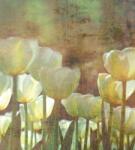 Dimex Fehér tulipánok fotótapéta, poszter, vlies alapanyag, 225x250 cm (MS-3-0385)